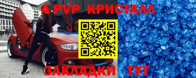 крисы Можга