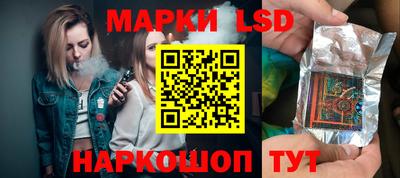 крисы Можга