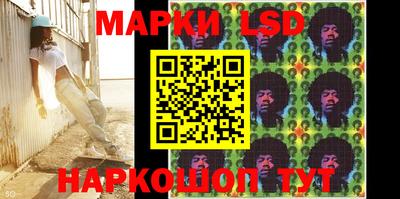 крисы Можга