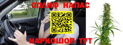 крисы Можга