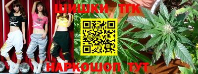 СК Моздок