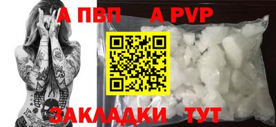 СК Моздок