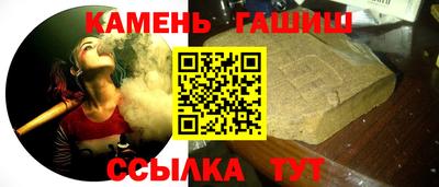 крисы Можга